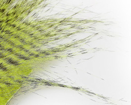 Craft Fur Grizzly, Chartreuse / 18